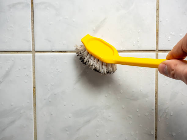 Best Post-Flood Mold Remediation in South Bound Brook, NJ